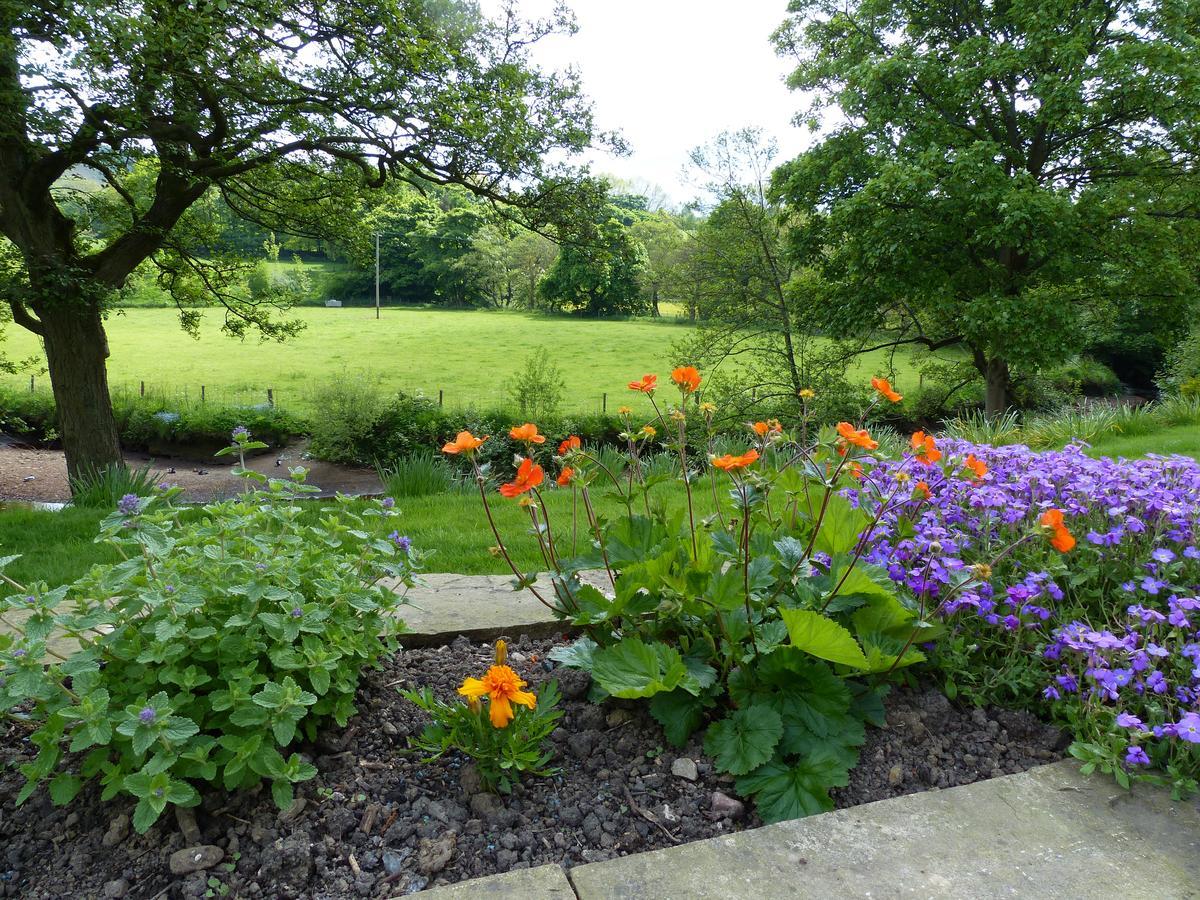 Millbrook Bed and Breakfast Penistone Exteriör bild
