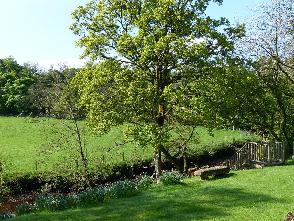 Millbrook Bed and Breakfast Penistone Exteriör bild